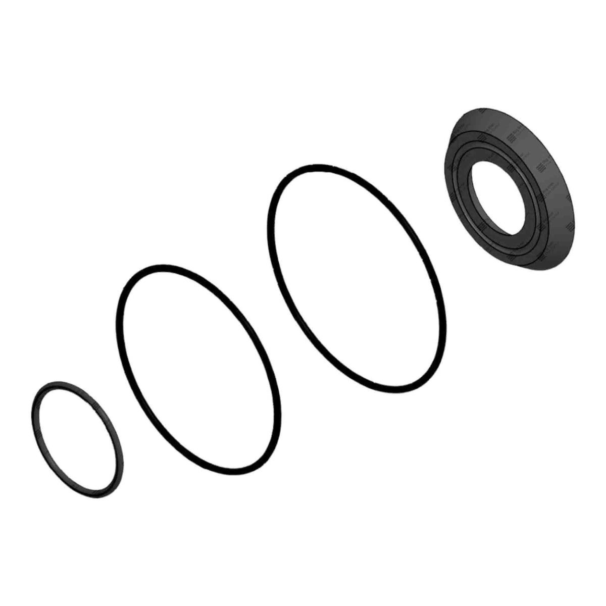 Check Valve Repair Kit, Minor, RDI Dart, 2
